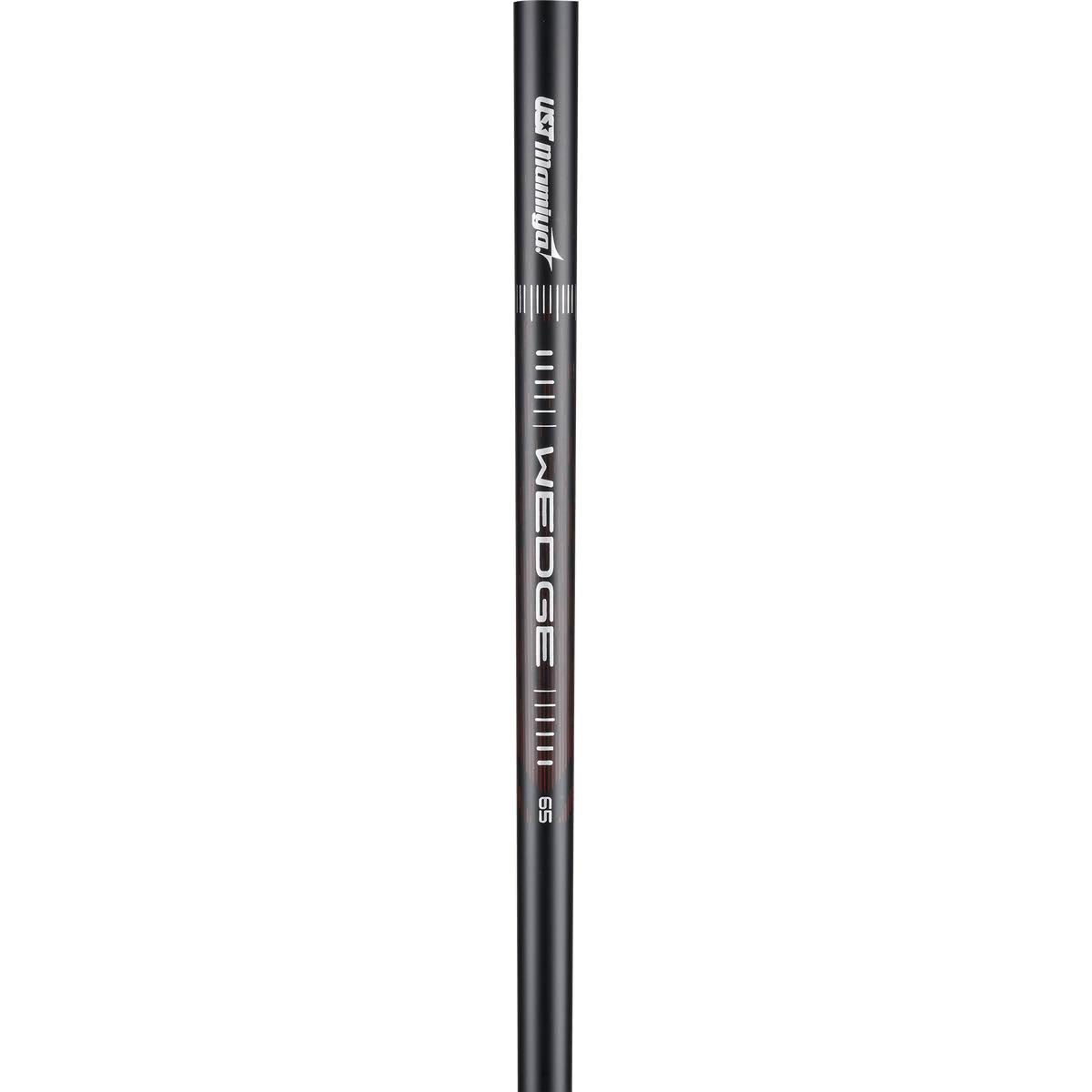 Wedge B250