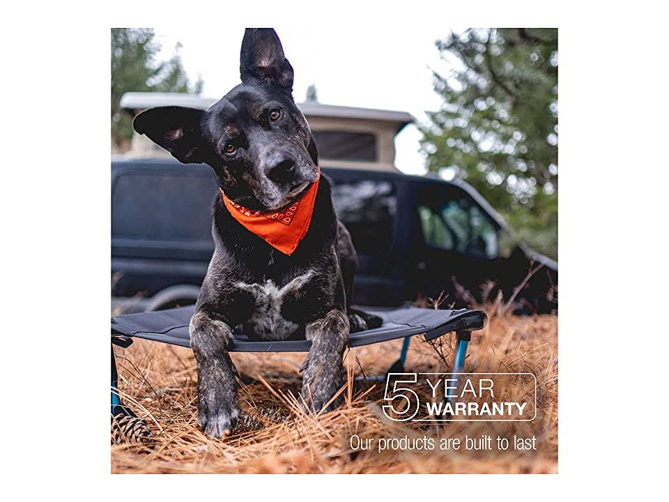 Black Elevated Dog Cot J12099