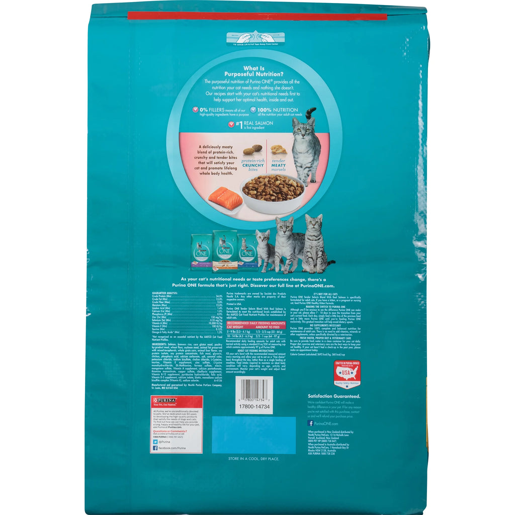 22 lb. Cat Food with Real Salmon S19915