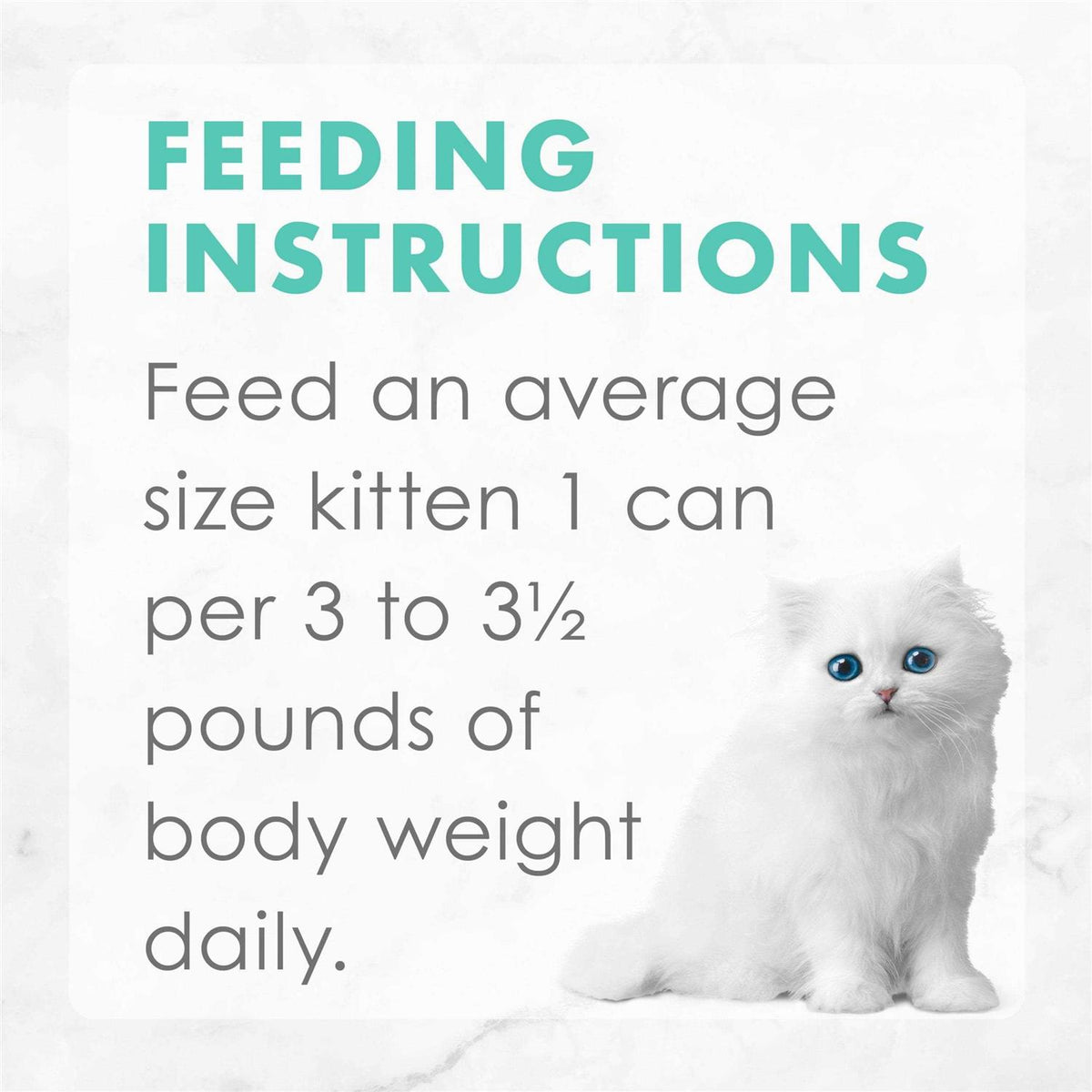 Grain Free Pate Wet Kitten Food Variety Pack P519843