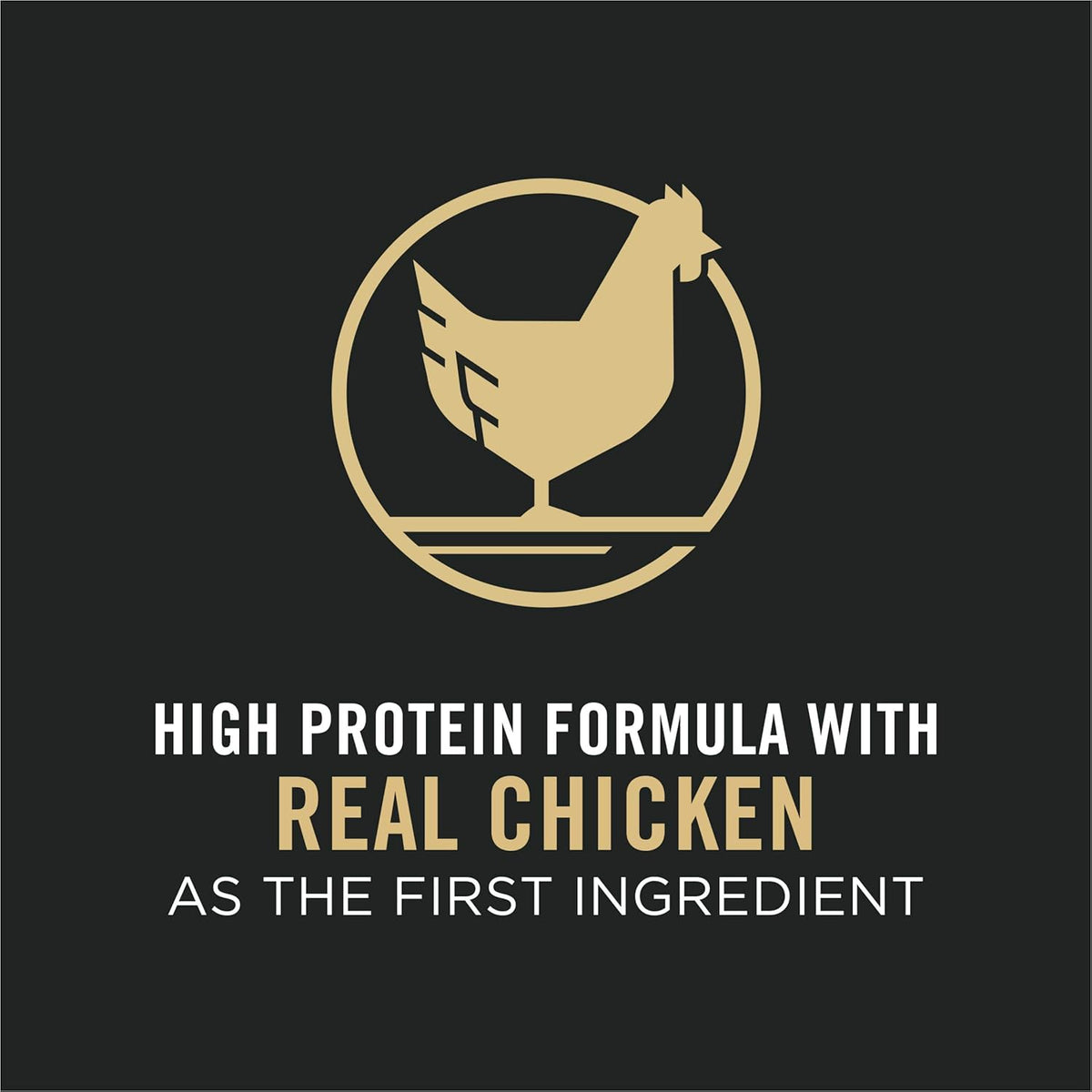 High Protein Chicken & Rice Dry Cat Food, Pack of 2 S425