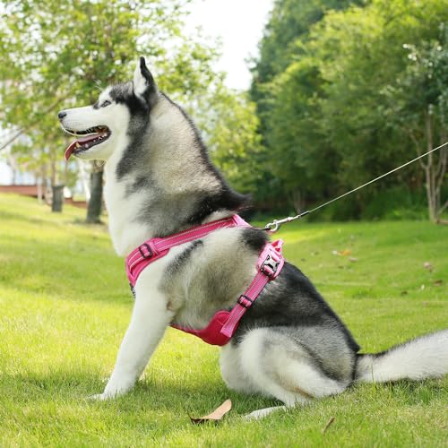 Purple Lattice Adjustable No-Pull Dog Harness Y864296