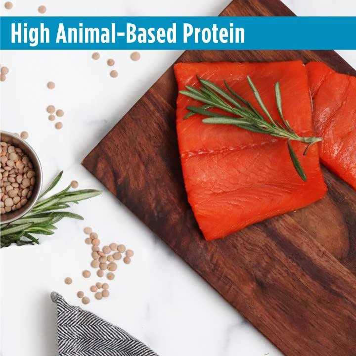 Salmon & Lentils Grain-Free Dry Cat Food I15844