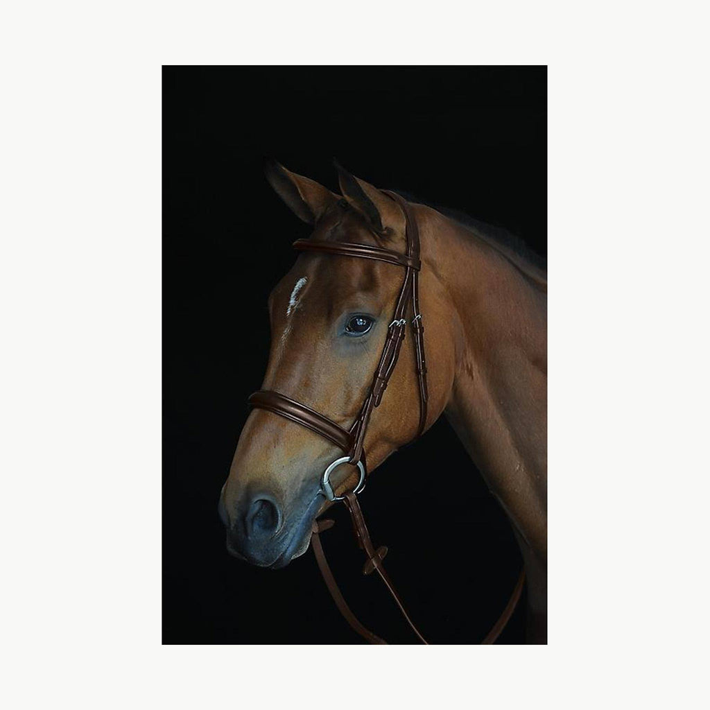 Padded Raised Cavesson Bridle - Black - COB X66635