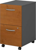 2 Drawer Mobile File Cabinet B40021