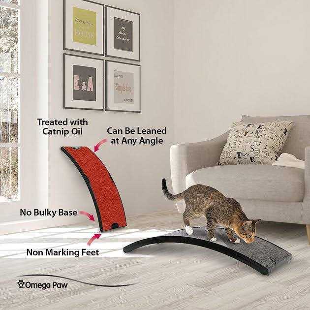 Curved Floor Scratching Board for Cats Y764048