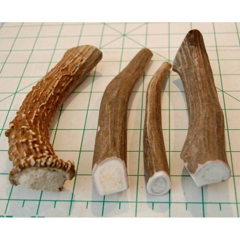 Deer Antler Dog Chews V138