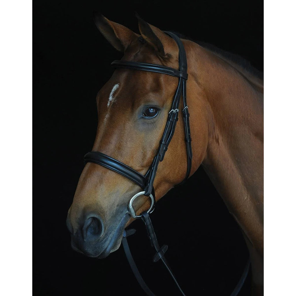 Padded Raised Cavesson Bridle - Black - COB X66635