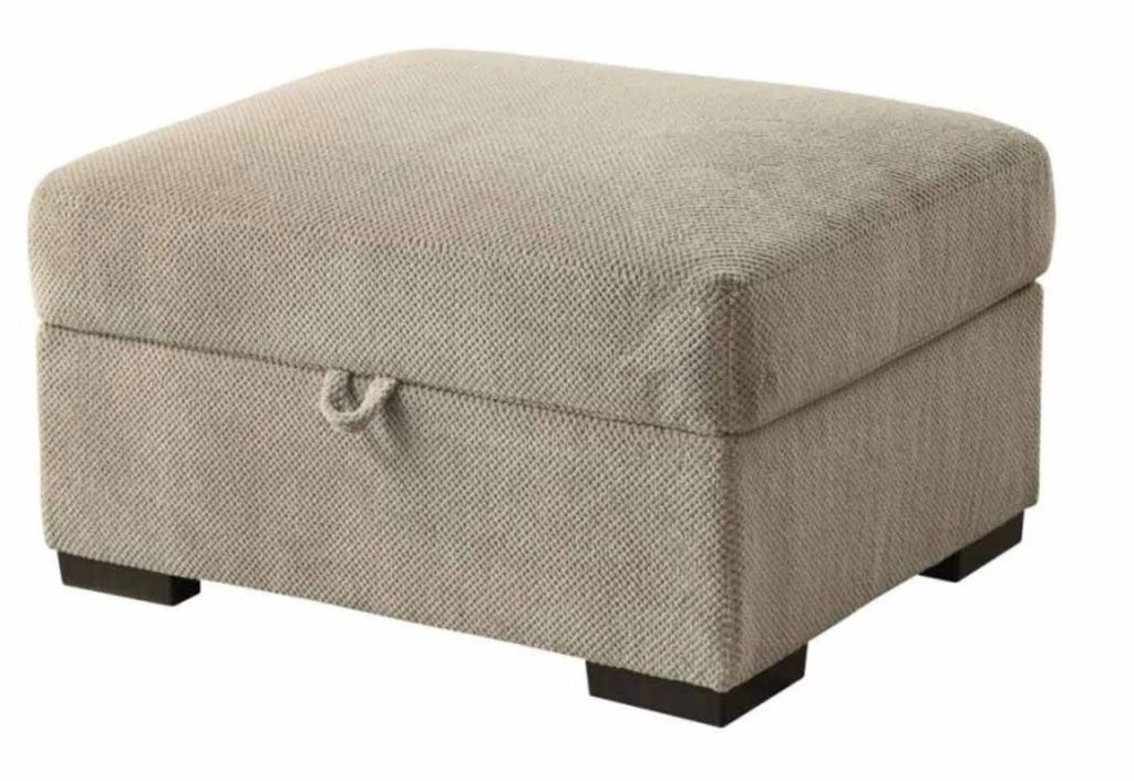 Taupe Storage Ottoman L492