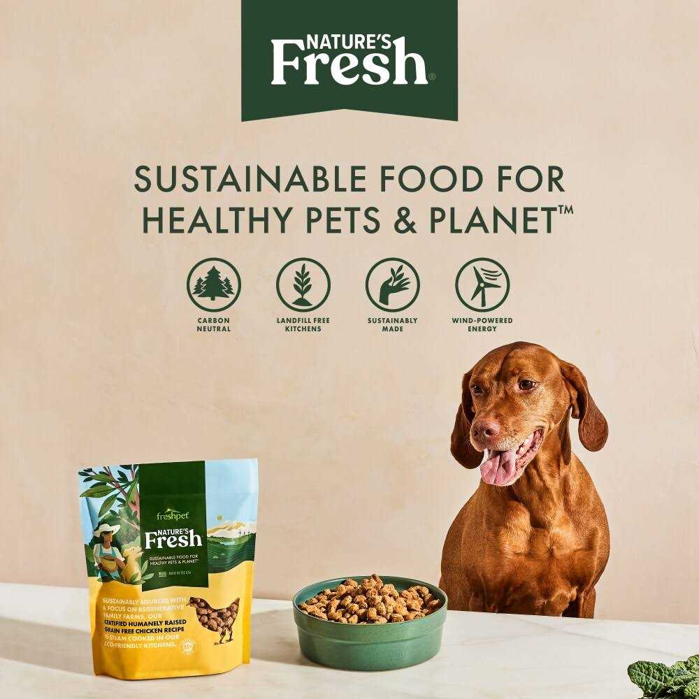 Grain Free Chicken Recipe Dog Food I389843