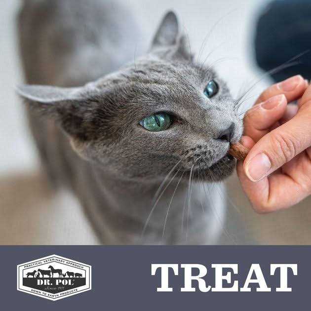Freeze Dried Cat Treat and Meal Topper K1085