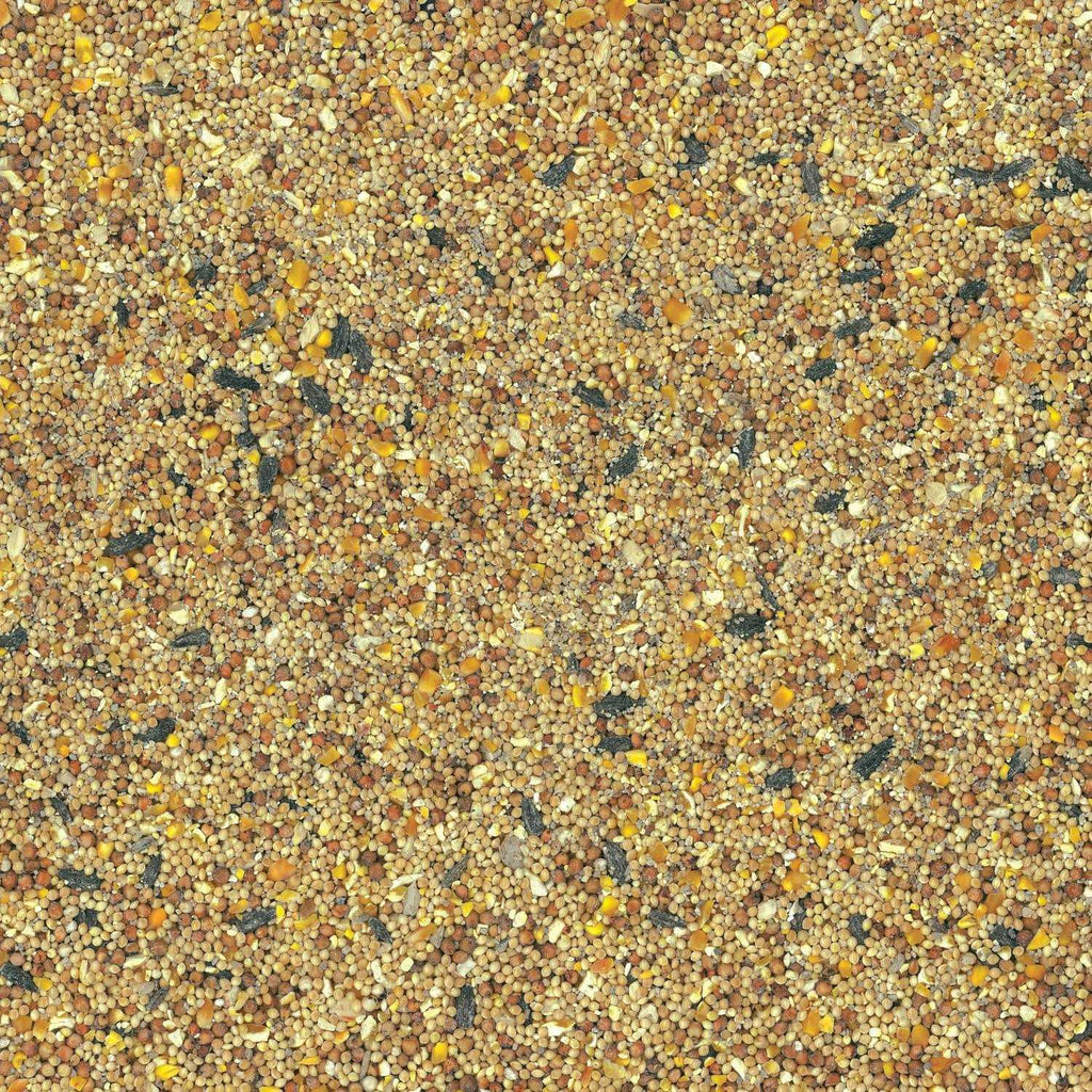 Wild Bird Food C62632
