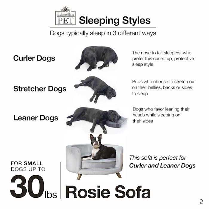 Pet Sofa Z831986