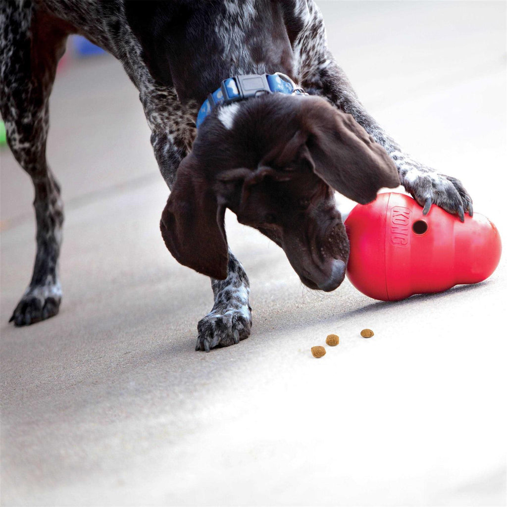 Dog Toy V5430