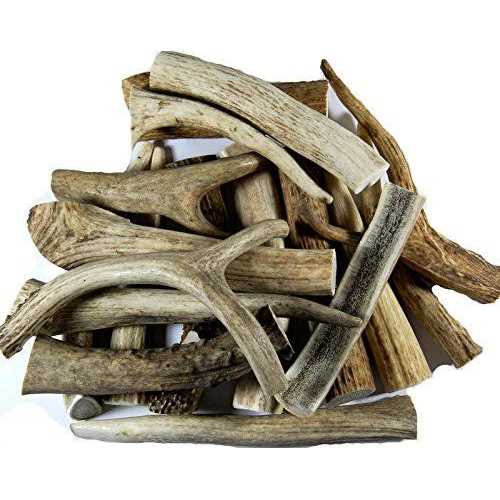 Deer Antler Dog Chews V138