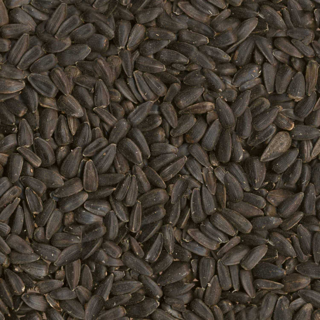 Black Oil Sunflower Seed Wild Bird Food N4090